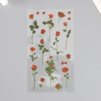 Наклейки пластик "Розы" набор 6 листов 10х18 см Наклейки пластик "Розы" набор 6 листов 10х18 см