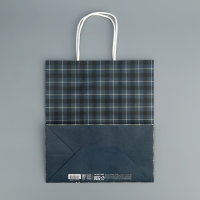 Пакет подарочный крафтовый, упаковка, &laquo;Клетка&raquo;, 22 х 25 х 12 см