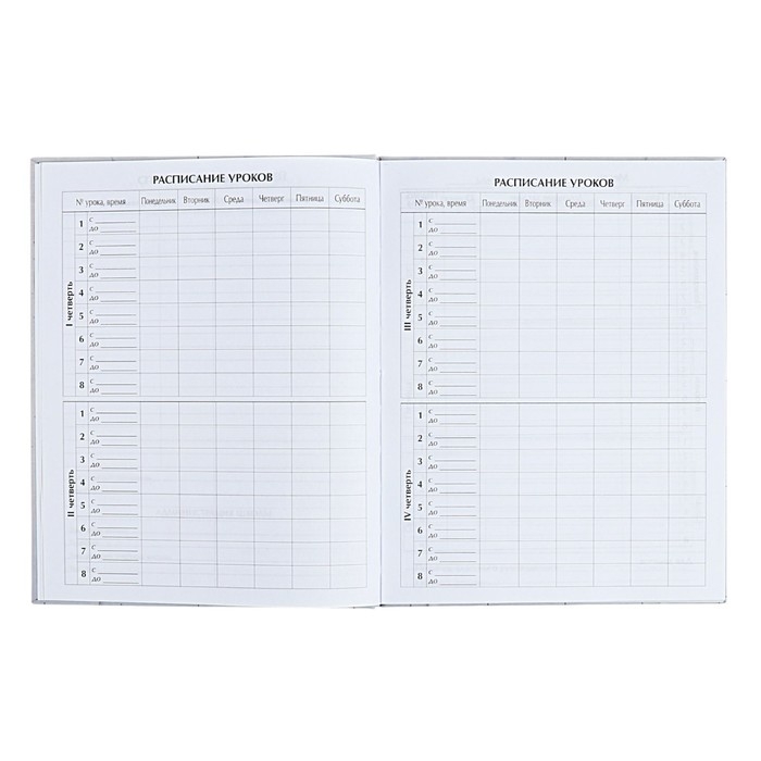 Дневник для 5-11 классов Дневник для 5-11 классов "Современный вайб. Анонимность", твёрдая обложка, матовая ламинация, выборочный лак, 48 листов