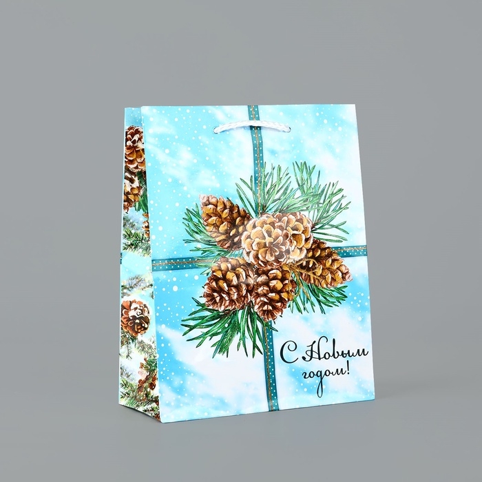 Пакет подарочный новогодний ламинированный &laquo;С Новым годом&raquo;, шишки, MS 18 х 23 х 8 см, Новый год