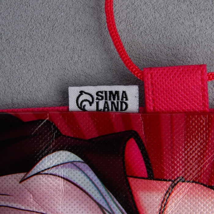 Мешок для обуви &laquo;Аниме девушка&raquo; полиэстер, размер 30 х 40 см