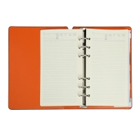 Ежедневник недатированный А5, 120 листов на кольцах FIRENZE, обложка искусственная кожа, блок 70г/м2, чёрный