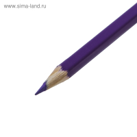 Карандаши акварельные 12 цветов 3.0 мм, Koh-I-Noor "Рыбки" 3716, картонная коробка, L=175 мм Карандаши акварельные 12 цветов 3.0 мм, Koh-I-Noor "Рыбки" 3716, картонная коробка, L=175 мм