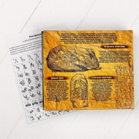 Головоломка металлическая «Магические символы», набор 5 шт. Головоломка металлическая «Магические символы», набор 5 шт.