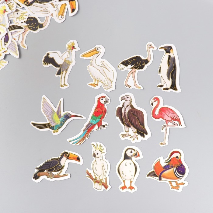 Наклейки для творчества Наклейки для творчества "Экзотические птицы" тиснение золото набор 48 шт 9х7х0,8 см