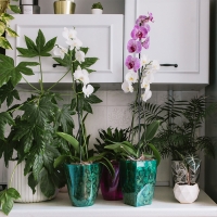 Горшок для орхидей, 2 л, 12,5 &times; 19,5 см, пластик, прозрачно-бирюзовый