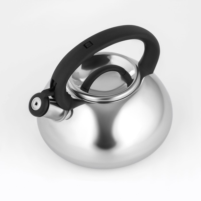 Чайник со свистком из нержавеющей стали Доляна &laquo;Квант&raquo;, 2,8 л, фиксированная ручка, цвет хромированный