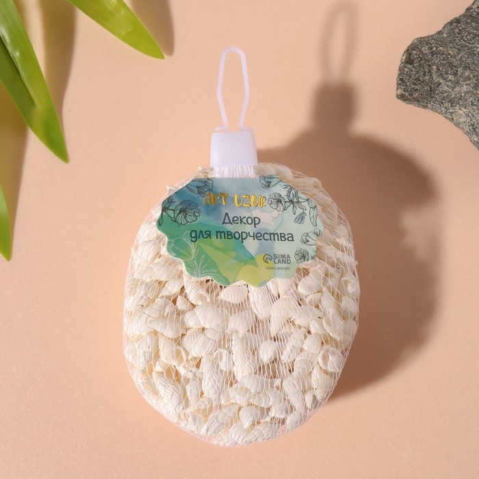 Ракушки природные декоративные "Риссоа белая" набор 100 гр