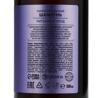 Шампунь для волос, питание и уход, 300 мл, аромат османтуса и амбры, LA POETIQUE