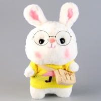 Мягкая игрушка «Зайка», в кофточке с сумочкой, 25 см, цвет МИКС Мягкая игрушка «Зайка», в кофточке с сумочкой, 25 см, цвет МИКС