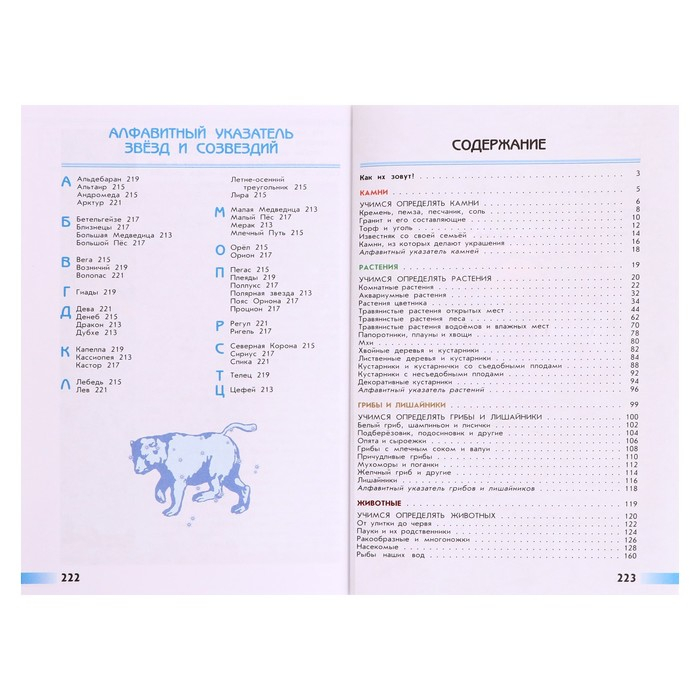 Учебное пособие. ФГОС. Атлас-определитель. От земли до неба, новое оформление. Плешаков А. А. Учебное пособие. ФГОС. Атлас-определитель. От земли до неба, новое оформление. Плешаков А. А.