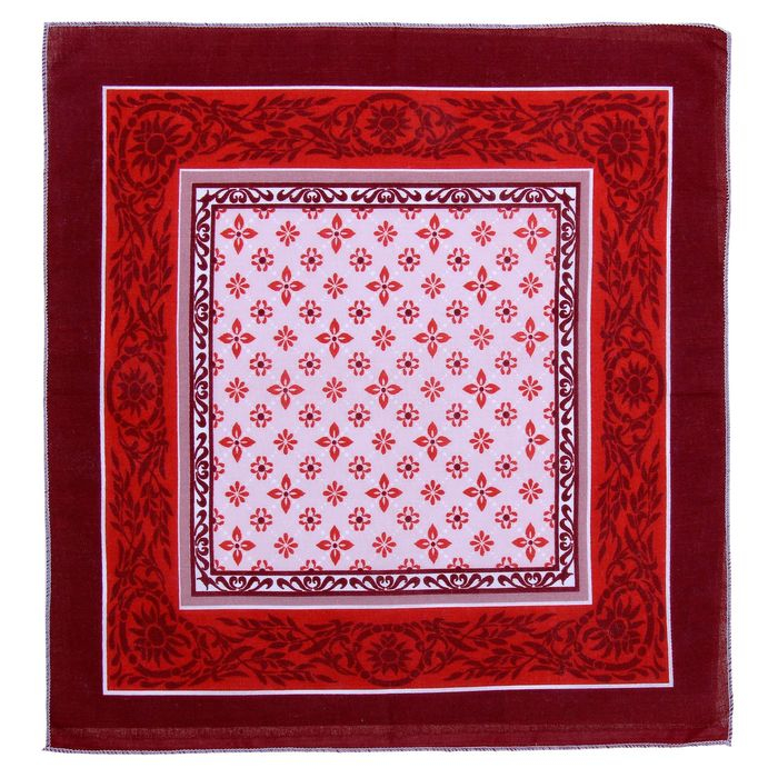 Мужские носовые платки Мужские носовые платки "Этель" размер 30х30 см, (набор 12 шт,) цвет коричневый, рисунок МИКС