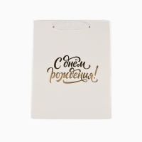 Пакет ламинированный вертикальный &laquo;С днём рождения&raquo;, MS 18 х 23 х 10 см