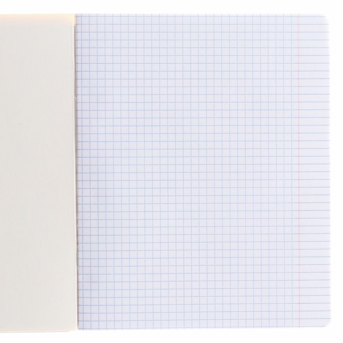 Набор тетрадей 10 штук, 24 листа, Гравити Фолз