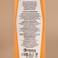 Гель для душа, 250 мл, аромат имбирного печенья, Новый Год Гель для душа, 250 мл, аромат имбирного печенья, Новый Год