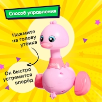 Заводная игрушка &laquo;Милый утёнок&raquo;, цвета МИКС
