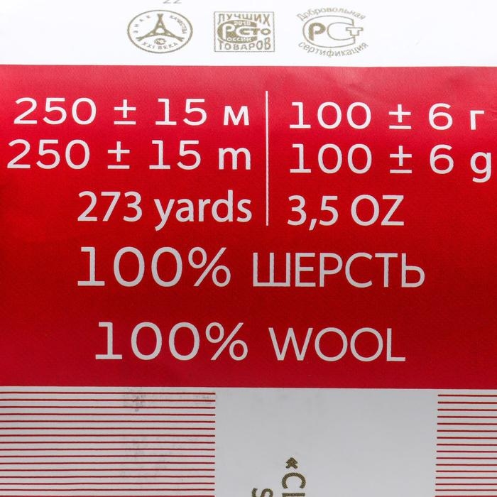 Пряжа Пряжа "Деревенская" 100% полугрубая шерсть 250м/100гр (191-ежевика)