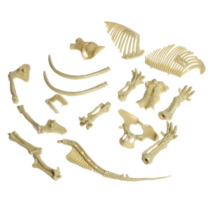 Набор для опытов «Ледниковая эпоха», в пакете Набор для опытов «Ледниковая эпоха», в пакете