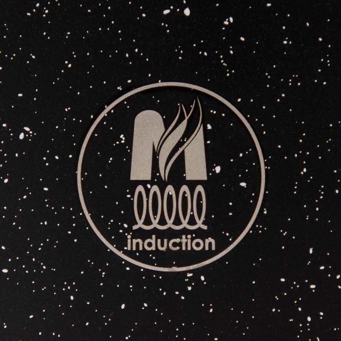 Сковорода &laquo;Гранит Black&raquo; Induction Pro&raquo;, d=22 см, пластиковая ручка, индукция, антипригарное покрытие, цвет чёрный
