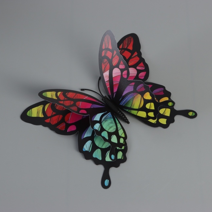 Магнит пластик Магнит пластик "Бабочки с радужной расцветкой" набор 12 шт 6; 8; 10; 12 см