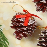 Набор природного декора "Заснеженые шишки", с бантиком, набор 6 шт.