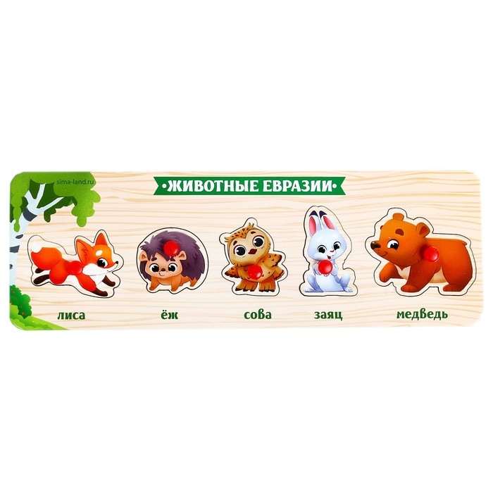 Рамка - вкладыш &laquo;Животные Евразии&raquo;
