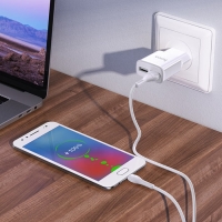 Сетевое зарядное устройство Hoco C88A, 2 USB, 2.4 А, кабель Micro USB - USB, 1 м, белый Сетевое зарядное устройство Hoco C88A, 2 USB, 2.4 А, кабель Micro USB - USB, 1 м, белый
