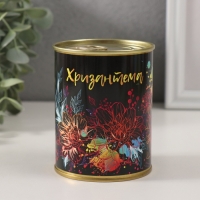 Растущая травка "Хризантема" Растущая травка "Хризантема"