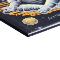 Дневник для 1-4 классов, "Космонавт", твердая обложка 7БЦ, матовая ламинация, 48 листов Дневник для 1-4 классов, "Космонавт", твердая обложка 7БЦ, матовая ламинация, 48 листов