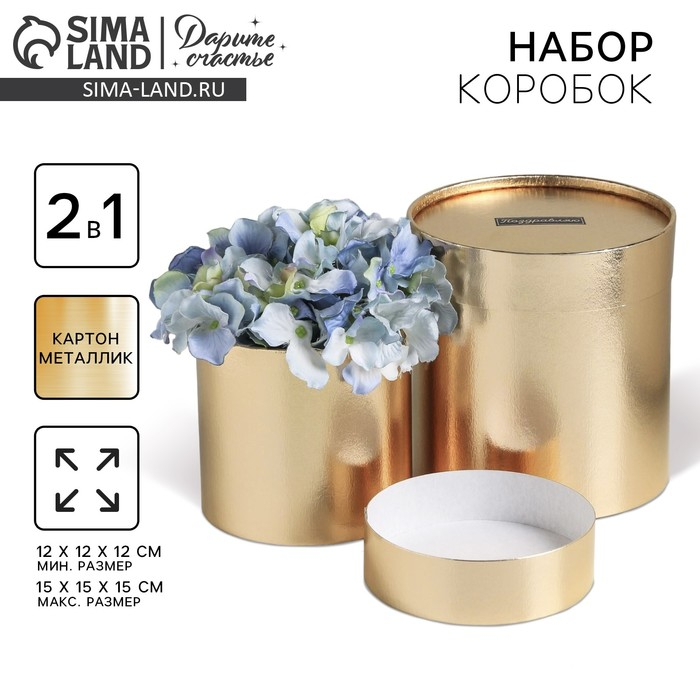 Набор золотых шляпных коробок 2 в 1, упаковка подарочная, &laquo;Поздравляю&raquo;, 12 х 12, 15 х 15 см