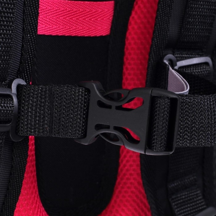 Рюкзак каркасный школьный 38 х 30 х 16 см, эргономичная спинка, Stavia "Фламинго мини", чёрный/синий/розовый