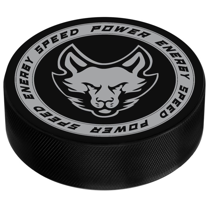 Шайба хоккейная Winter Star, взрослая, d=7,6 см