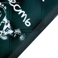 Картина на холсте "Не сдавайся" 38х48 см Картина на холсте "Не сдавайся" 38х48 см