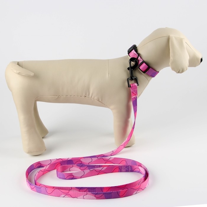 Набор &laquo;Нежность&raquo;, застёжка - фастекс, поводок 2 м и ошейник 28-46 см