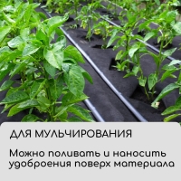 Материал для ландшафтных работ, 5 &times; 1,6 м, плотность 90 г/м&sup2;, спанбонд с УФ-стабилизатором, чёрный, Greengo, Эконом 30%