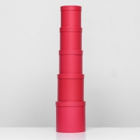 Набор  шляпных коробок 5 в1 "Viva Magenta Panton", 20 &times; 20 &times; 20‒14 &times; 14 х 14 см