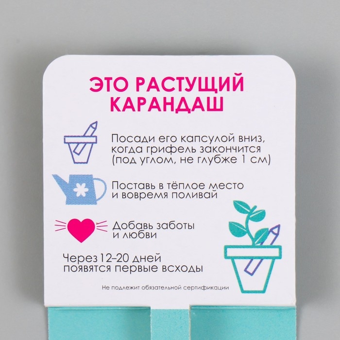 Растущие подарочные карандаши mini Витаминный клад "Мята"