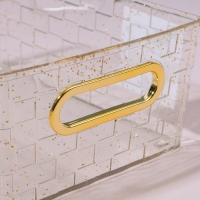 Органайзер для хранения &laquo;SHINE&raquo;, с ручками, 1 секция, 20,5 &times; 14,5 &times; 7,8 см, цвет прозрачный/золотистый