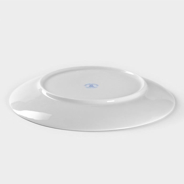 Тарелка фарфоровая &laquo;Огненный дракон&raquo;, d=24 см