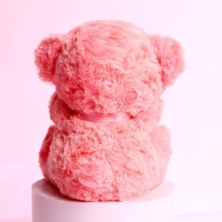 Мягкая игрушка &laquo;Радуй мир своей улыбкой&raquo;, 22 см., МИКС