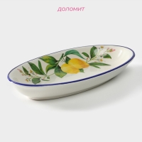Блюдо овальное Доляна &laquo;Лимон&raquo;, 28&times;14,5 см, цвет белый