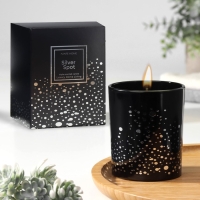 Свеча ароматическая "Silver Spot", ежевика, чёрный стакан Свеча ароматическая "Silver Spot", ежевика, чёрный стакан