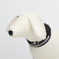 Ошейник с подсветкой, зарядка от USB, размер S, ОШ 34-41 см, 3 режима, черный Ошейник с подсветкой, зарядка от USB, размер S, ОШ 34-41 см, 3 режима, черный