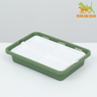 Лоток для проращивания травы кошкам 26,5 х 17,5 х 5 см Лоток для проращивания травы кошкам 26,5 х 17,5 х 5 см