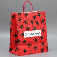 Пакет подарочный крафтовый, упаковка, &laquo;Поздравляю&raquo;, 28 х 32 х 15 см
