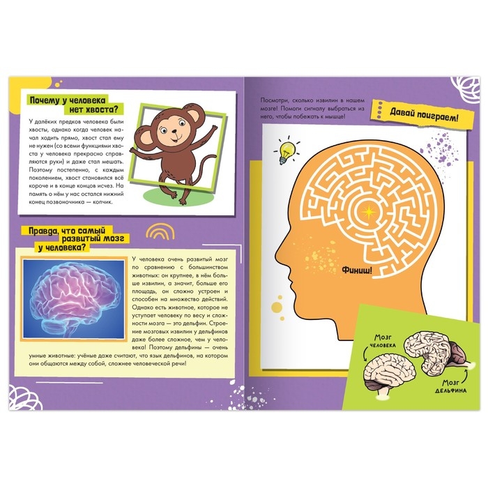 Набор обучающих книг &laquo;Как, зачем, почему?&raquo;, 6 шт.