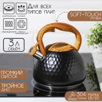 Чайник со свистком из нержавеющей стали Magistro Heat, 3 л, ТРС, индукция, ручка soft-touch, цвет чёрный Чайник со свистком из нержавеющей стали Magistro Heat, 3 л, ТРС, индукция, ручка soft-touch, цвет чёрный