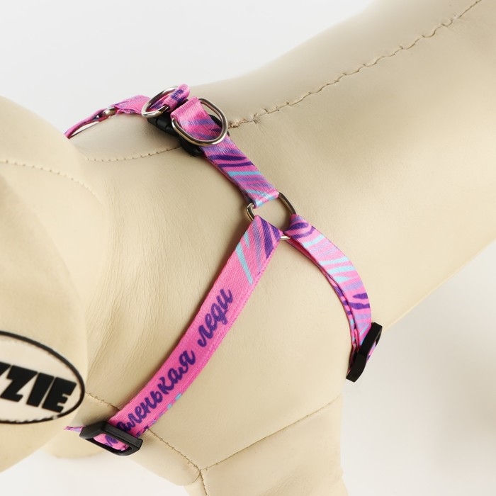 Комплект &laquo;Маленькая леди&raquo;, шлейка 24-36 см, поводок 120х1 см