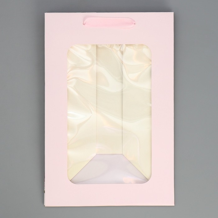 Пакет ламинированный &laquo;Подарок&raquo;, 20 &times; 30 &times; 16 см