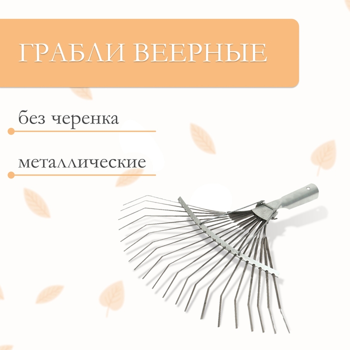 Грабли веерные пластинчатые, 20 зубцов, оцинкованные, тулейка 25 мм, без черенка Грабли веерные пластинчатые, 20 зубцов, оцинкованные, тулейка 25 мм, без черенка